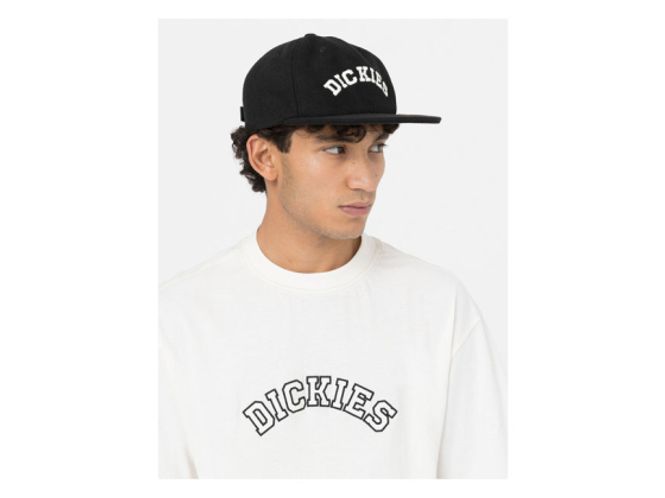 Hovedbilde Dickies Caps, Caps